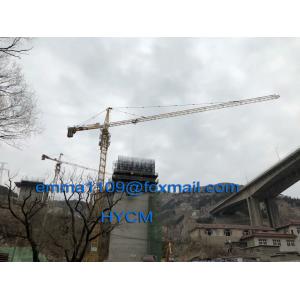 QTZ80 Facet Tower Crane Model TC5612 Build Tower Kren 6tons Lifting Load 56m Jib