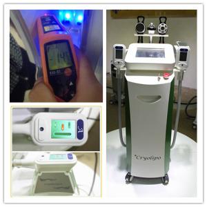 China Os punhos gordos duplos da máquina de congelação dois de CoolScuplting Cryolipolysis dos punhos funcionam junto supplier