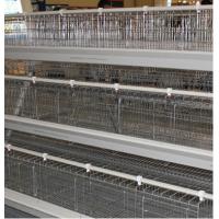 China Q235 Battery Cages Laying Hens Chicken Farming Materials A Type on sale