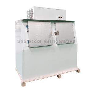 China 110V 60Hz Outdoor Cold Wall Ice Merchandiser Bagged Ice Storage Freezer supplier