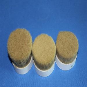 China Double Natural Boiled Bristles For Paint Brushes Pure Boar Bristle Custom Color supplier