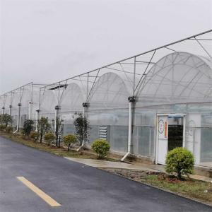 Hot Dip Galvanized Steel Multi Span Greenhouse Plastic Film For Plant Growing