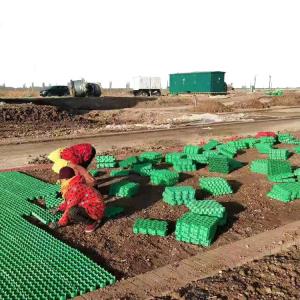 China Green Parking and Garden Honeycomb Gravel Grass Paver Manufactured from HDPE Plastic supplier