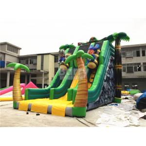 China Inflatable Slide supplier