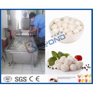 China EC 10TPD Soft Cheese Making Equipment For Cheese Making Factory / Cheese Making Plant supplier