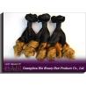 Grade 7A Colored Human Hair Extensions , Spring Curl Virgin Brazilian Hair OEM