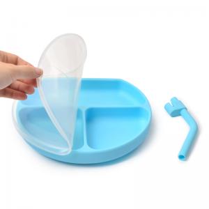 China Sky Blue Silicone Plate Microwave Childrens Silicone Plates BPA Free supplier