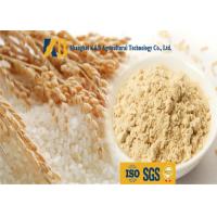 China Non Allergen Lactose Free Rice Protein Nutrition For Healthy Food Addictive on sale