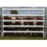 China OEM 2100x1800mm Heavy Duty Cattle Panel With 5 Rail wholesale