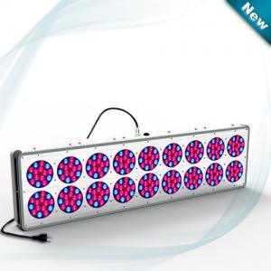 China Apollo 18 LED Grow Light 270*3W High Power Greenhouse Light 3 Years Warranty High Quality supplier