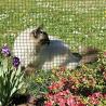 China Leveled Mesh Surface Welded 1"X1" Chicken Mesh Fence wholesale