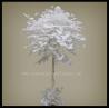 China árbol blanco artificial de los ficus de los 2M wholesale