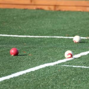 China Da grama artificial do golfe do Monofil elasticidade/da grama sintética do golfe basquetebol de Gateball boa supplier