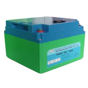 China Cycle Long Lifepo4 Rechargeable Battery supplier