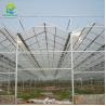 China Invernadero de tomate de policarbonato con sistema de riego wholesale