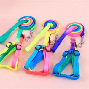 China Colorful Pet Traction Rope Nylon Quick Release For Dog supplier