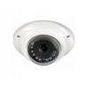 Mini 180degree Dome Outdoor Fisheye Security Camera 1080P Fisheye Lens Cctv