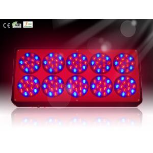China Hydroponic LED Grow Plant Light with Color Red, Black Available for Greenhouse RCAPO10 supplier