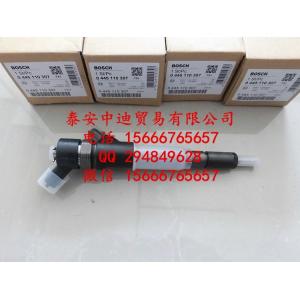 China BOSCH Common rail injector 0445110307 , 0 445 110 307 supplier