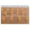 China DN6 Spring Loaded Vent Valve with Threaded Ends Compliant with CB/T3778-1999 Standard wholesale