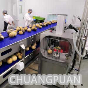 Versatile Stainless Steel 1-10T/H Water Extraction Young Coconut Cutting Machine