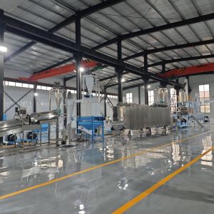 China CE Certified 1-2t/h Floating Fish Feed Production Line with Twin-Screw System and Wet Extrusion Chamber wholesale