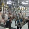 Small and Large Chicken Turkey Killing Processing Killing Slaughter Processing