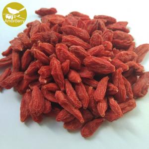 Berry Goji/Wolfberry/Lycium Barbarum organic fresh goji berries 5kg wholesale price freeze dried fruit goji china