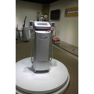 China Non Surgical Cryolipolysis Slimming Machine / Cryo Weight Loss Equipment For Home Use supplier