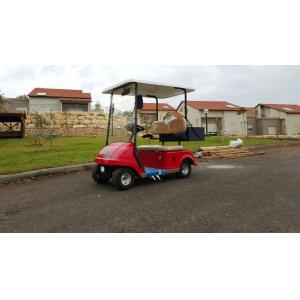 China Customized Electric Car Mini Golf Cart 2 Seater With Imported Transaxle For Disabled People supplier