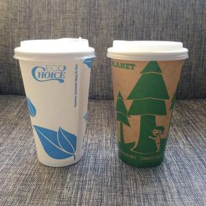 China Pla Coffee Biodegradable And Compostable Tableware Paper Cups 16oz Double Wall With Lids supplier