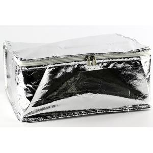 China Extra Large 12 Food Cooler Bag , Insulated Backpack Cooler Aluminum Foil Inside supplier