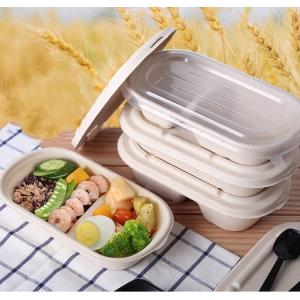 100% Compostable Disposable Eco Packaging Food Grade Sugarcane Pulp Lunch Box