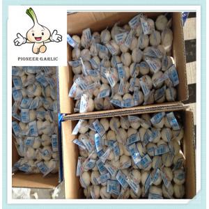 China chinese fresh /air dried garlic and ginger Top Quality Chinese Fresh Garlic Jinxiang supplier