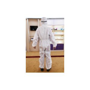 China Online Wholesale Isolation Protective Lab Gowns Infection Control supplier