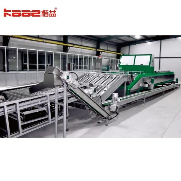 Intelligent Photoelectric Dates Sorting Machine Grading Equipment Machine