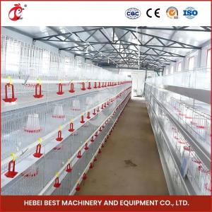 China Hot Galvanized Automatic Pullet Baby Chick Brooder Cage 192 Birds 1.2m Length Mia supplier