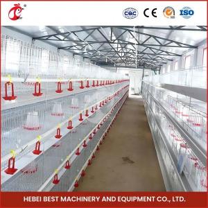 Hot Galvanized Automatic Pullet Baby Chick Brooder Cage 192 Birds 1.2m Length Mia