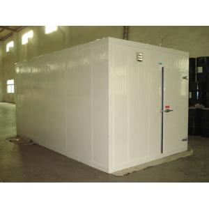 China -18 ~ -25℃ Polyurethane Pnel Freezer Cold Room for Fish and Meat Storage supplier
