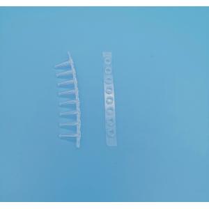 China 8 Strip Tube Pcr Tubes 0.1 Ml Transparent For Medicine Field supplier