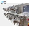 Full Automatic Multiple Head XQX2 System 6ml Ceramic Filling Pump High Precision For Pharma Liquid Dispensing Filler