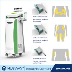 China 13 years experience manufacturer semiconductor + water + air cooling system slimming fat freezing cryolipolysis machine supplier