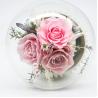 China 3-5 Years Lasting Preserved Rose Glass Dome Beautiful Home Decor Day Gift wholesale