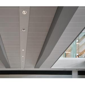 Decorative Perforated  Lay In Ceiling Panels , Waterproof Ceiling Tiles  300x1200mm