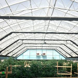 Agricultural Curtain Fabric Blackout Greenhouse Automatic Control Light Deprivation Greenhouse