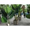 China Modern Artificial House Plants Living Room Faux Traveller Tree Plastic Potted wholesale
