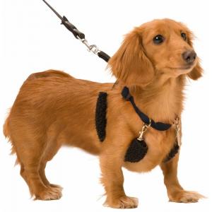 Non Pull No Choke Black Dog Training Halter Harness Easy Step In Vest Collar
