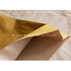 China PP Woven Kraft Paper Plastic Composite Bag For Graphite Powder Packing supplier