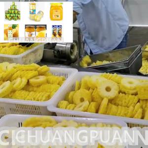 Customized SS304 Canned Sliced Pineapple Production Line Capacity 0.5-15T/H