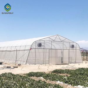 China Agricultural Tunnel PE Film Greenhouse With Drip Irrigation System supplier